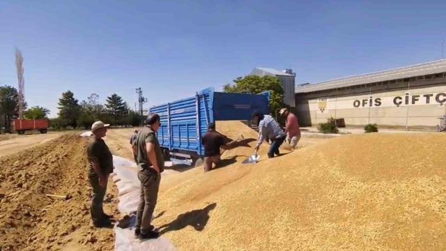 Konya’da TMO’dan 2 milyon tona yakın hububat alımı
