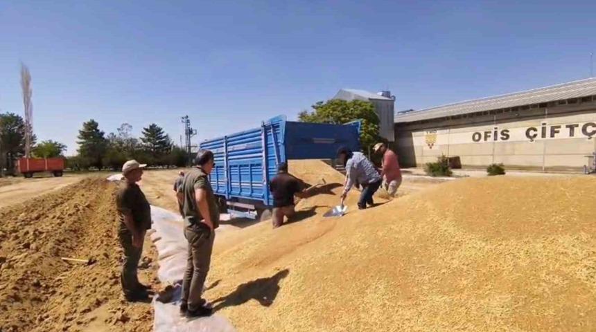 Konya&rsquo;da TMO&rsquo;dan 2 milyon tona yakın hububat alımı