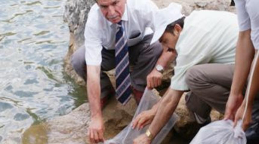 Sulakyurt G&ouml;leti'ne 20 bin balık bırakıldı