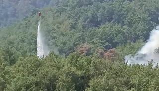 Soğutma &ccedil;alışmalarının s&uuml;rd&uuml;ğ&uuml; ormanlık alanda yeniden yangın &ccedil;ıktı