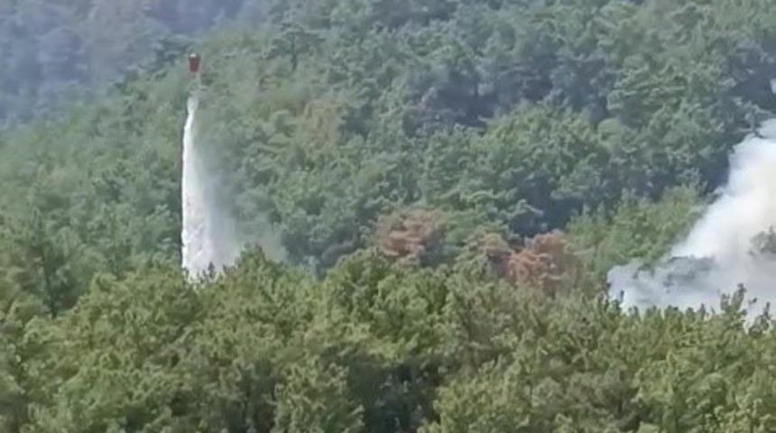 Soğutma &ccedil;alışmalarının s&uuml;rd&uuml;ğ&uuml; ormanlık alanda yeniden yangın &ccedil;ıktı