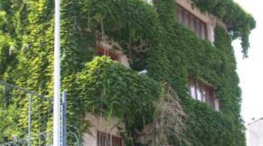 4 katlı sarmaşık ev ilgi &ccedil;ekiyor