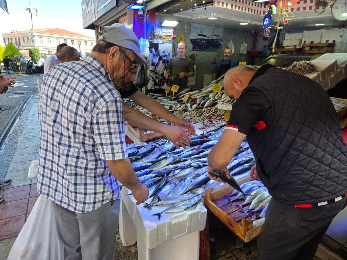 Son yılların en bereketli sezonu! Palamudun fiyatı sudan ucuz 2