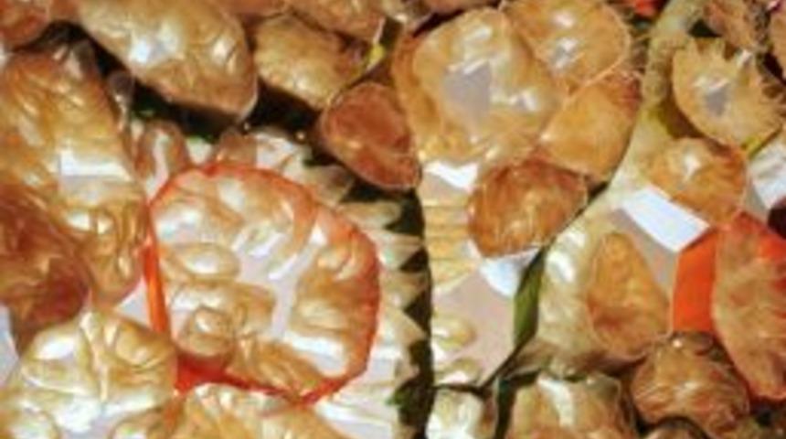 Sanat &ccedil;alışmalarında bağırsak malzemesi kullanıyor