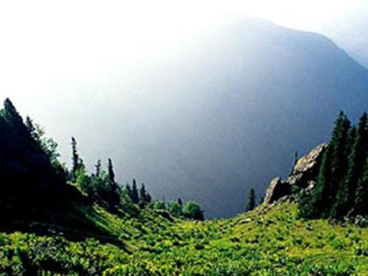 Kaz Dağları'nın ölüm fermanı imzalandı