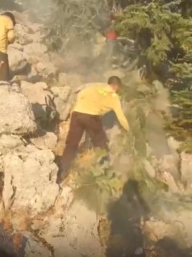 Antalya da ormanlık alanda yangın 2