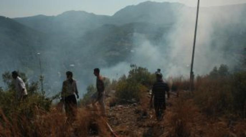 Sumbas’ta orman yangını çıktı, sabotaj ihtimali üzerinde duruluyor