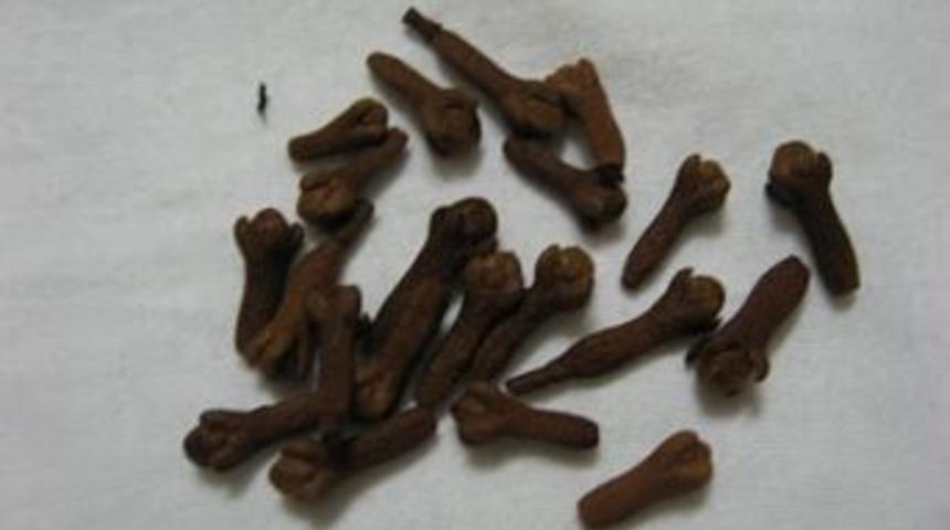 Karaburun Karanfil Kokulu Kadınlar K&uuml;lt&uuml;r ve Sanat Etkinlikleri başlıyor