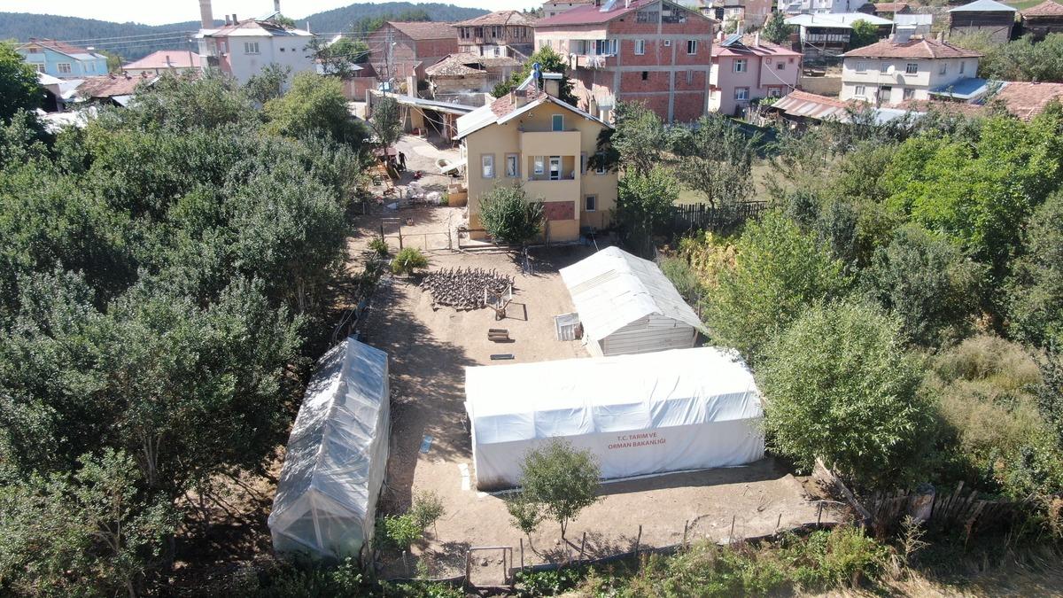 Bir kararla k&ouml;ye d&ouml;n&uuml;p kurdu: Ne kadar &uuml;retirse &uuml;retsin talebe yetişemiyor 3