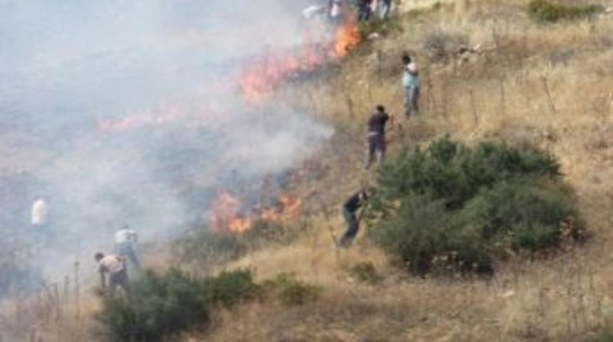 Avanos&rsquo;ta bağ ve meyve ağa&ccedil;ları yandı