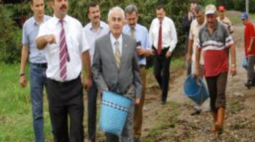 Giresun Valisi Şahin: Fındık, başlı başına i&ccedil;i dışı hepsi para