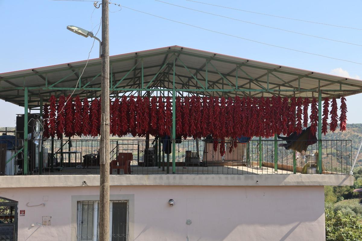 Demeti 500 TL den satılıyor! Türkiye nin dört bir yanından talep geliyor 2