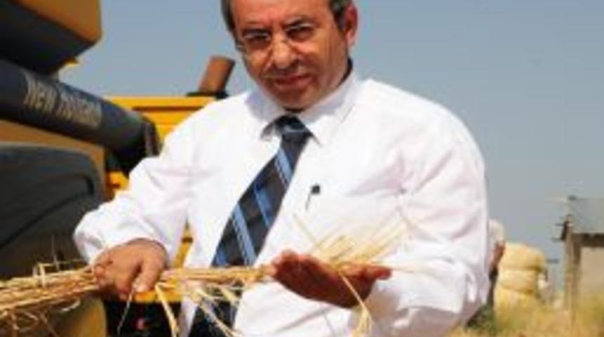 Rekt&ouml;r Battal, uygulama merkezinde arpa hasadına katıldı