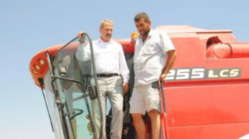 Bakan &Ccedil;ağlayan, Muş Ovası&rsquo;nda buğday hasadı yaptı