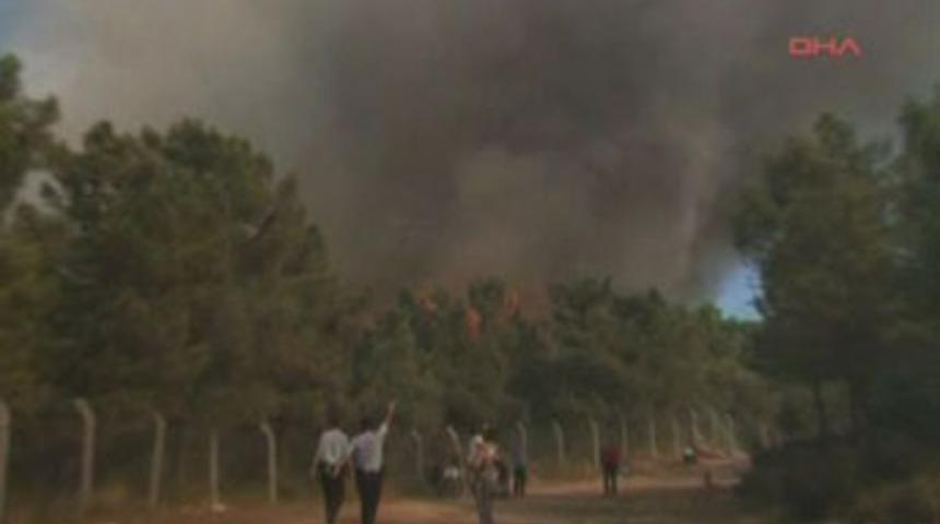 Başıb&uuml;y&uuml;k'te orman yangını