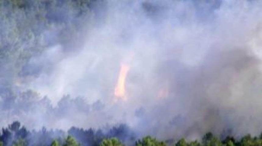 Maltepe'deki orman yangınına s&ouml;nd&uuml;rme u&ccedil;akları m&uuml;dahale ediyor