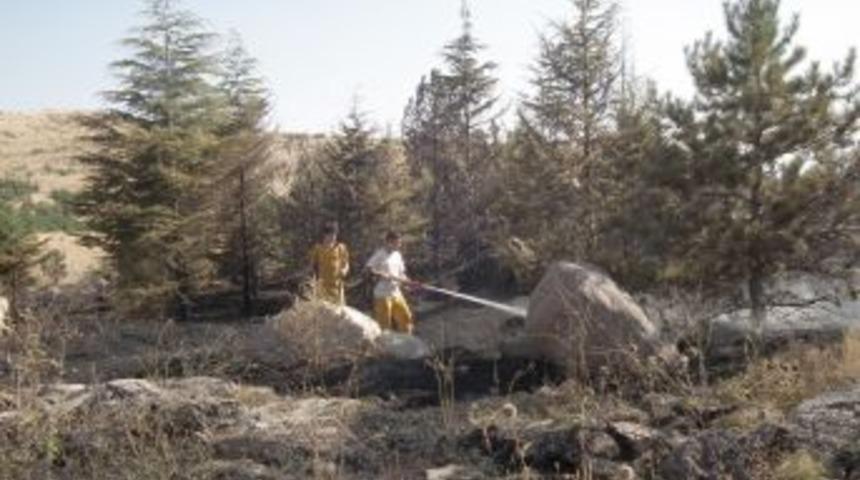Pursaklar'daki yangında 30 d&ouml;n&uuml;ml&uuml;k ağa&ccedil;lık alan yandı