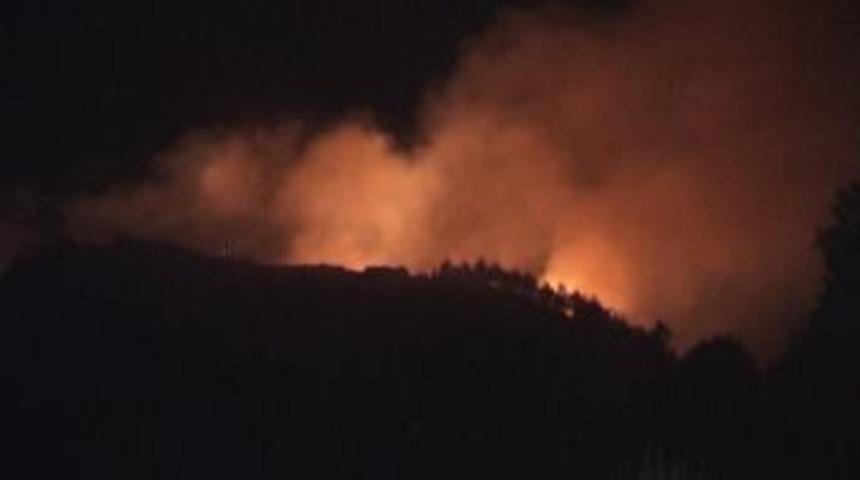 Manisa'da orman yangını