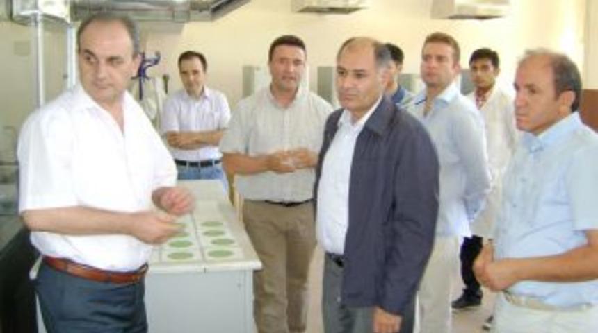 "Niğde &Uuml;niversitesinde &ouml;nemli &ccedil;alışmalar yapılıyor"