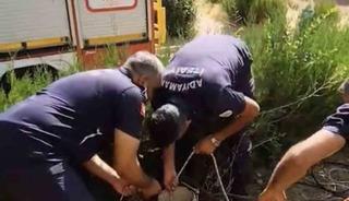 Kuyuya d&uuml;şen yavru kediyi itfaiye kurtardı
