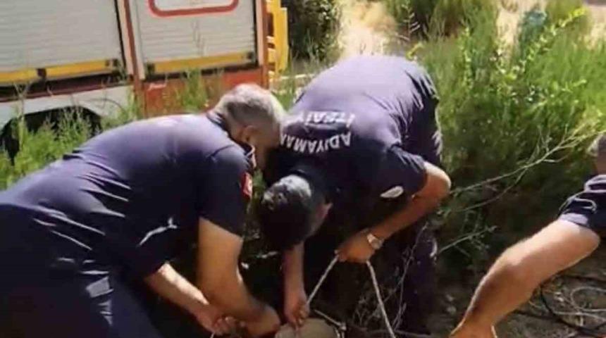 Kuyuya d&uuml;şen yavru kediyi itfaiye kurtardı