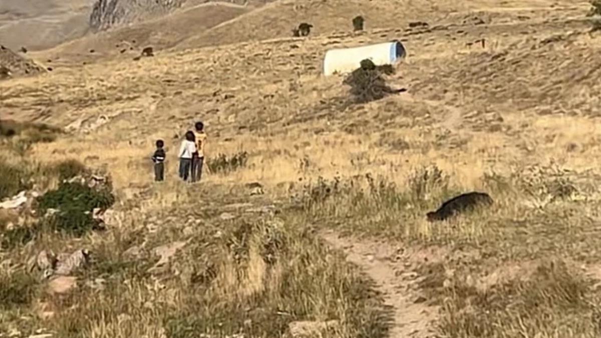 Yer: Sivas! Kayıp bebek vakasında kan donduran iddia... "Babası sattı" 1