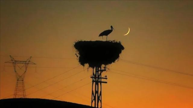 Spot piyasada elektrik fiyatları (13 Eylül 2026)