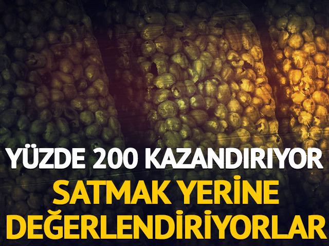 Y&uuml;zde 200 kazandırıyor: Satmak yerine değerlendiriyorlar