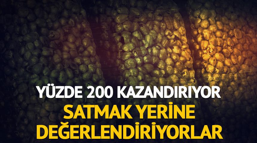 Y&uuml;zde 200 kazandırıyor: Satmak yerine değerlendiriyorlar