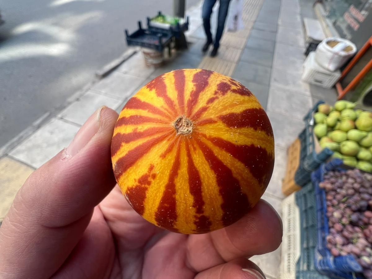 Sadece tek ilde bulunan geleneksek kavun: Kokusu her yeri sarıyor 1