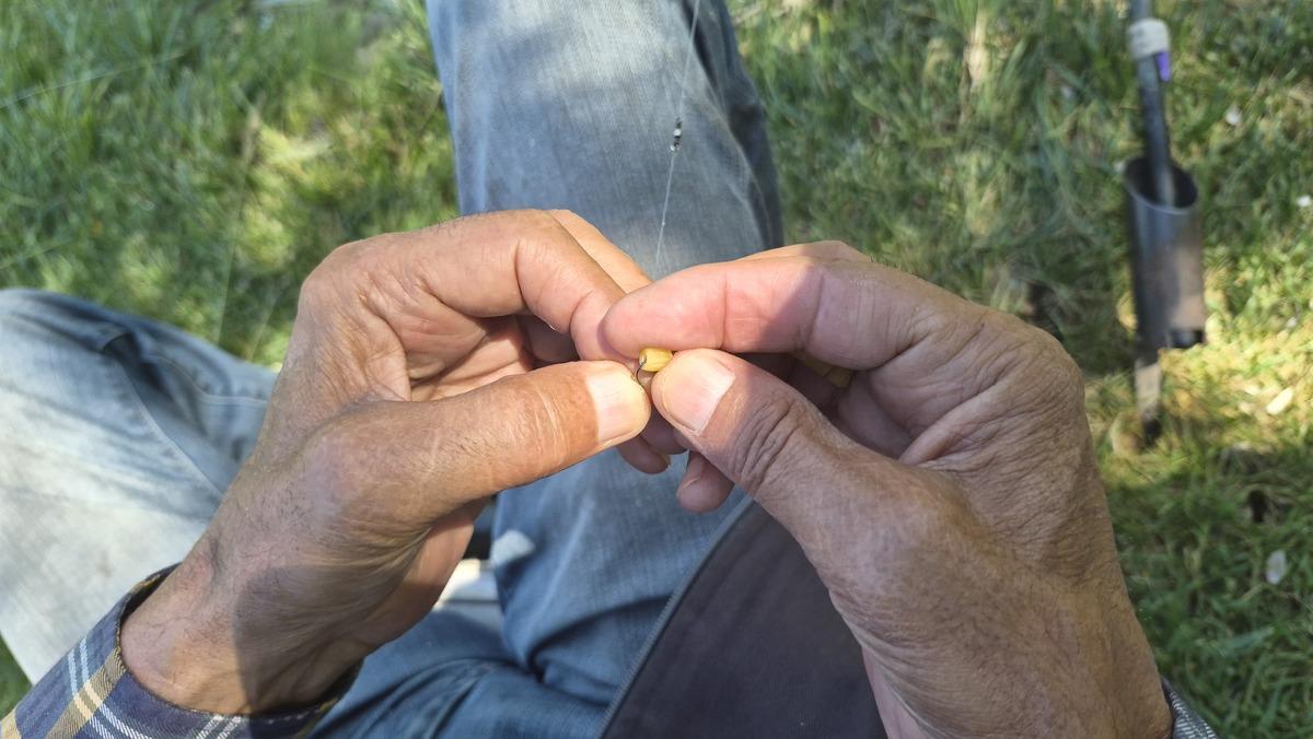 76 yaşında şehirden kaçıp oraya gidiyor! Tek hobisi var, tüm gün yapıyor 2