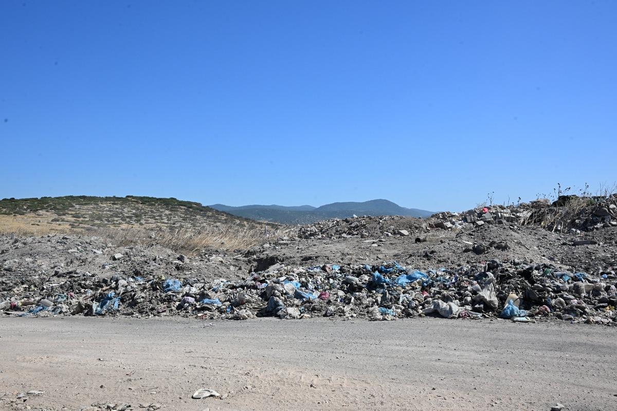 T&uuml;m şehri lavanta kokutacaklar: Vahşi depolamanı d&ouml;n&uuml;şt&uuml;recekler 1