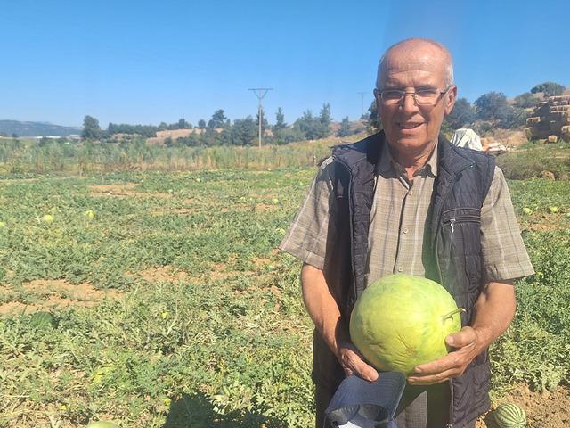 Dede mirası gelenek: Ata tohumu karpuz &uuml;retiyor