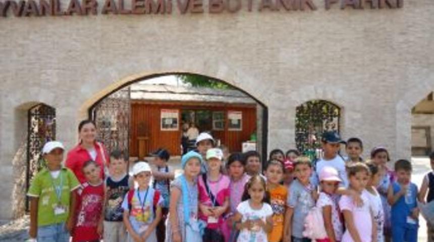 Bilgi Evi minikleri hayvanat bahçesinde