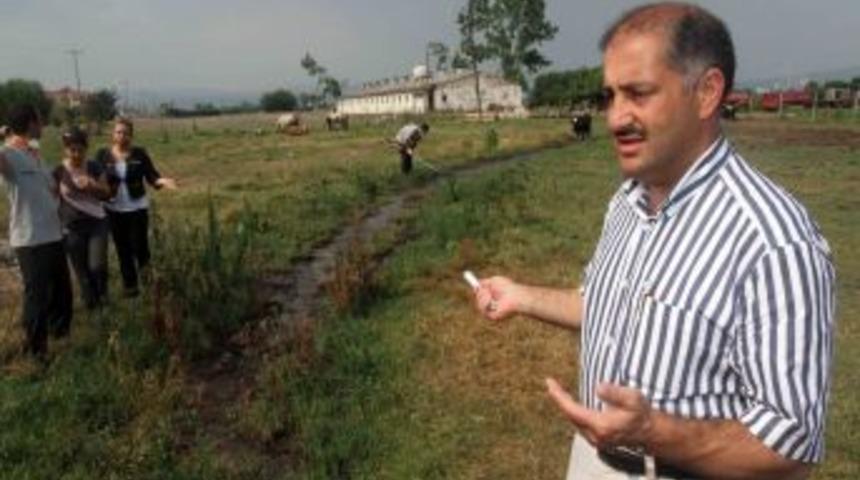 Karasineksiz yaz için gübreleri toprakla örtün