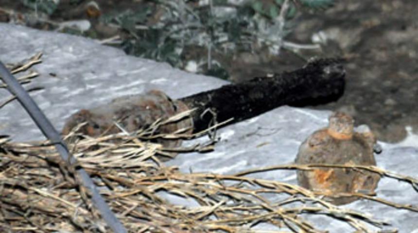 Kuyudan y&uuml;z yıllık m&uuml;himmat &ccedil;ıktı