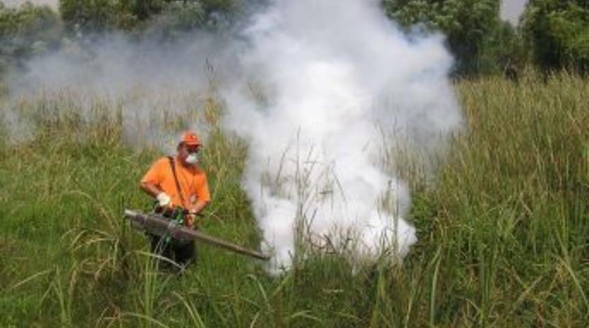 Antalya'da 416 personelle sivrisinek m&uuml;cadelesi yapılıyor