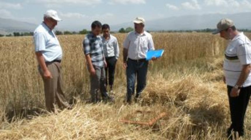 Erzincan'da dane kaybı azaltılacak