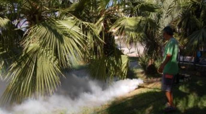 Taşucu'nda sinekle m&uuml;cadele &ccedil;alışmaları yoğunlaştı