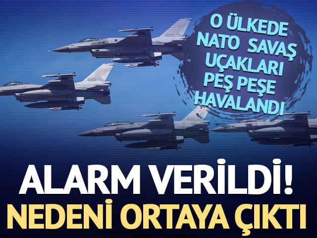 Litvanya'da NATO u&ccedil;akları alarma ge&ccedil;ti! Nedeni kuş s&uuml;r&uuml;s&uuml; &ccedil;ıktı