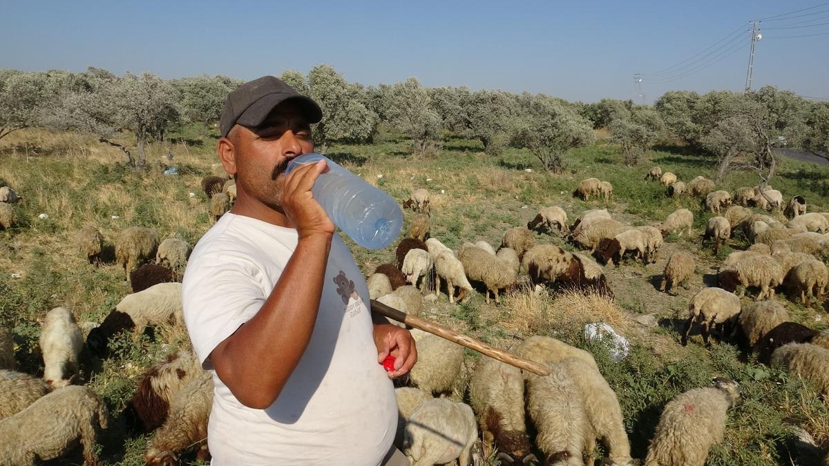 Maaşlarıyla g&uuml;ndem olmuşlardı:  80 bin TL ye bulamazsın  2