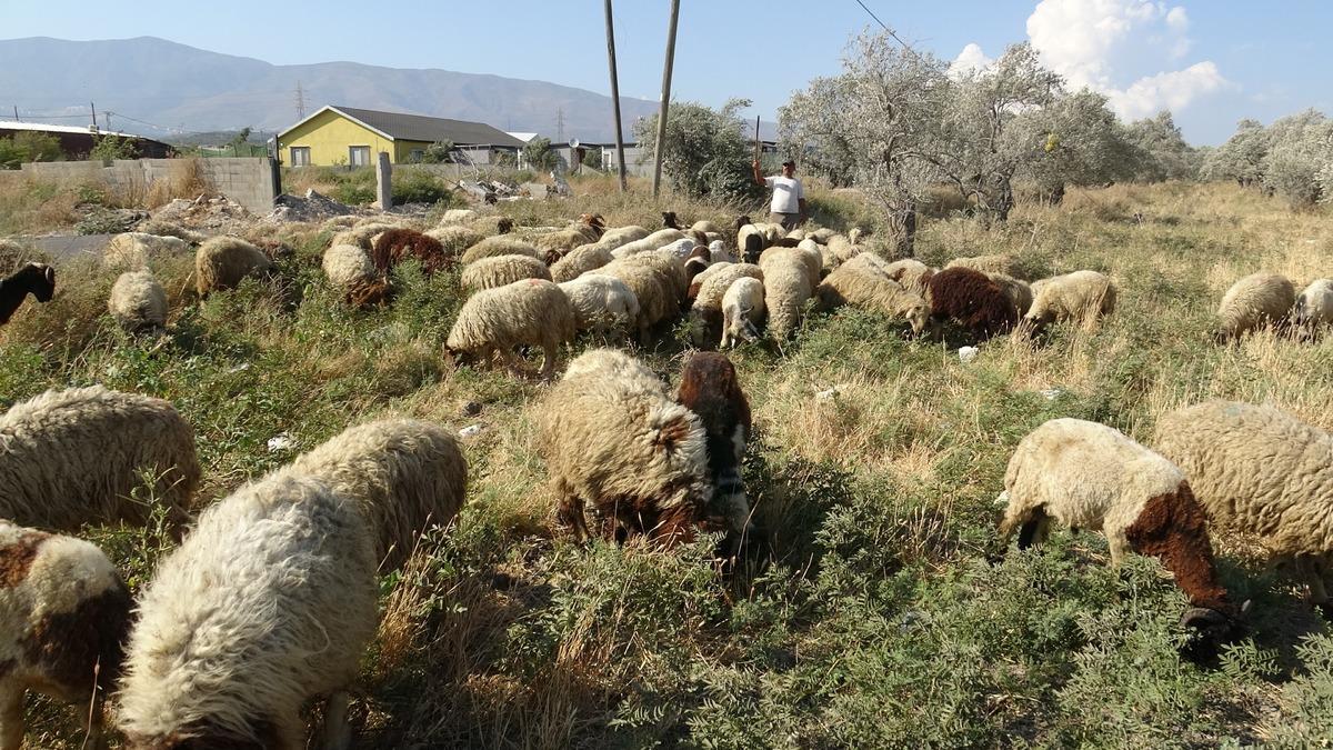 Maaşlarıyla g&uuml;ndem olmuşlardı:  80 bin TL ye bulamazsın  3