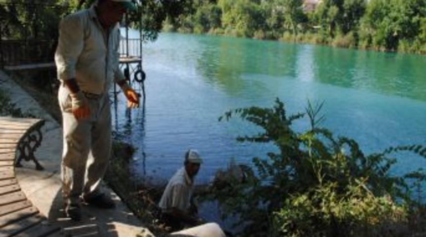 Manavgat Belediyesi, ırmak kenarında g&uuml;zelleştirme &ccedil;alışması başlattı