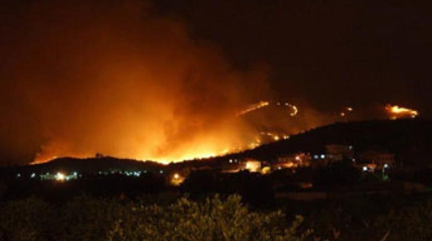 Seferihisar'daki yangında sabotaj ş&uuml;phesi
