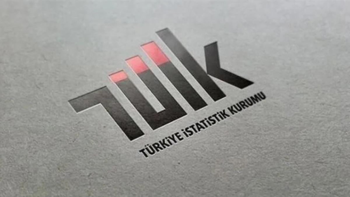 TÜİK temmuz ayı dış ticaret endekslerini açıkladı 1
