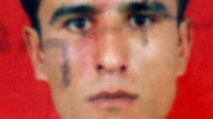 Yerfıstığı yiyen inekler 2 cana mal oldu