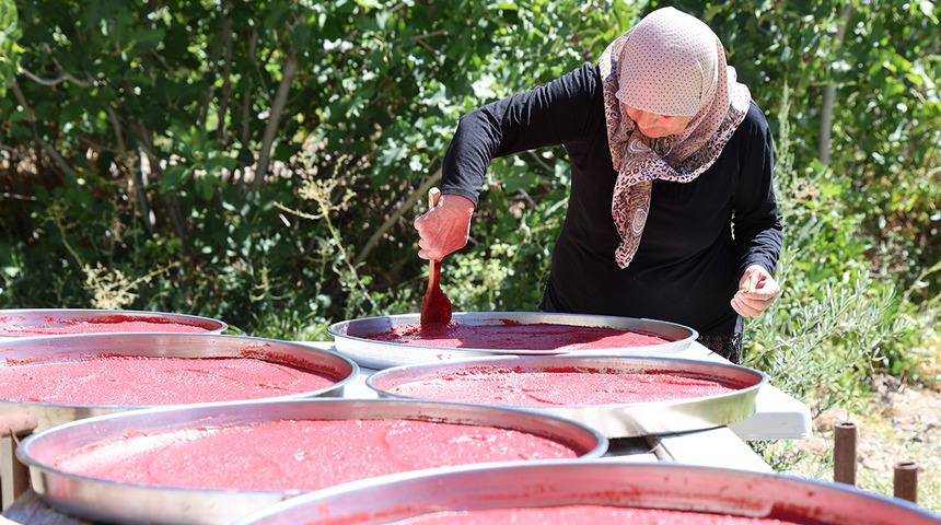 Tepsiye serip tarlanın ortasına bırakıyorlar: Lezzetinin sırrı ortaya &ccedil;ıktı