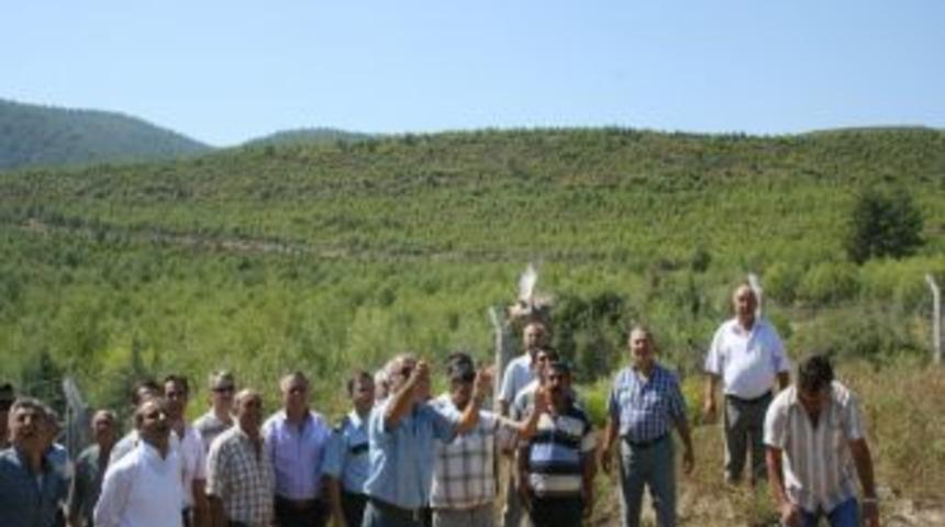 Avcılar doğaya s&uuml;l&uuml;n ve keklik saldı