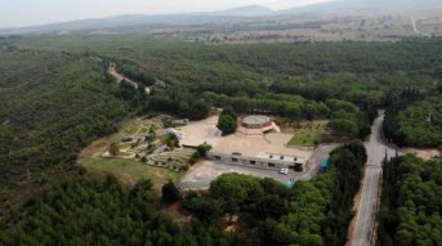 B&uuml;y&uuml;k Gelibolu orman yangınının izleri 17 yıldır silinemedi