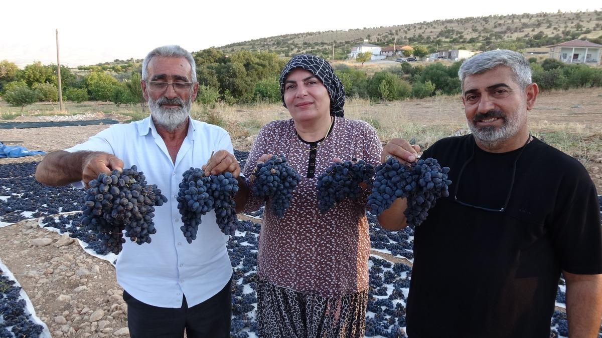 Talep arttı, üretici yetişemiyor! Kilosu 600 TL’den alıcı buluyor 4